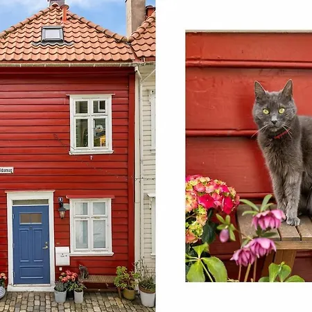 Dinbnb Homes L 100 Meters From Floybanen L A Rare Experience Feriehus Bergen